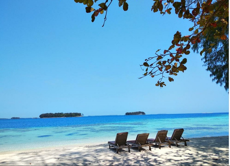 Open trip pulau sepa resort