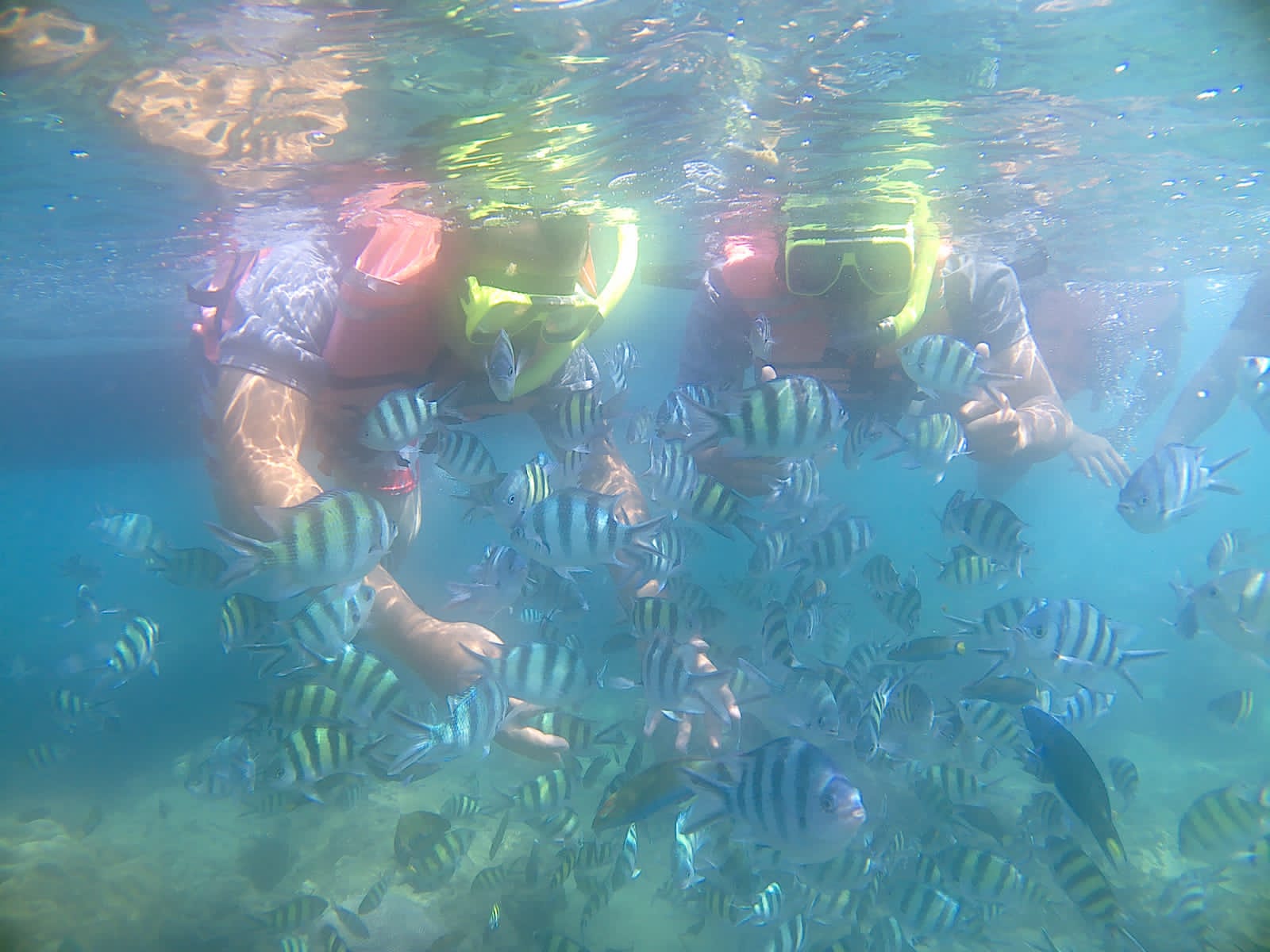 Rekomendasi Pulau seribu untuk Outing Perusahaan dan Gathering perusahaan