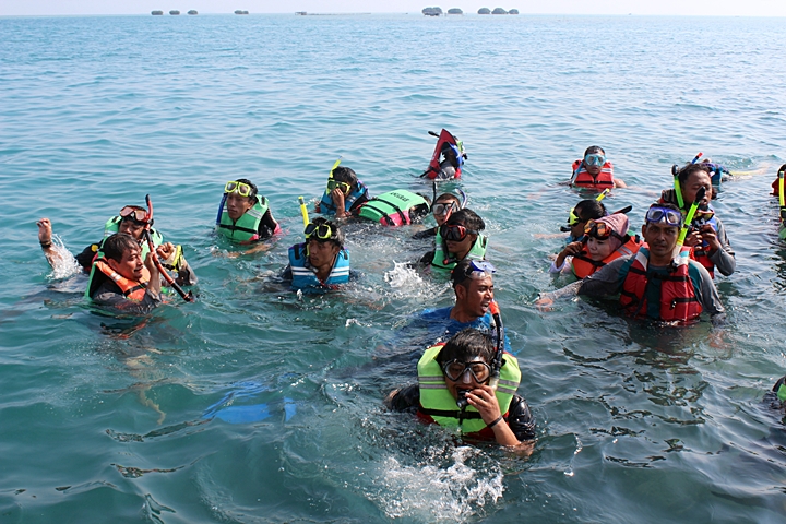 Snorkeling dan Diving di Pulau seribu