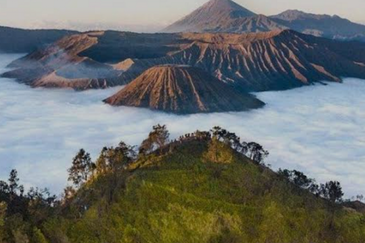 Paket tour Gunung Bromo  