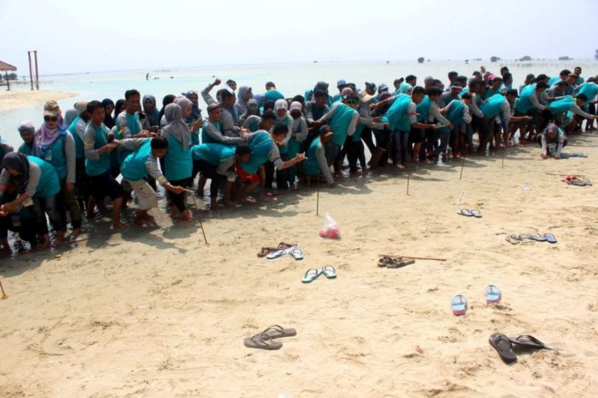 Outbound - Gathering Perusahaan Di Pulau Pari