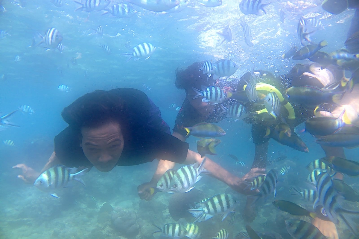 Paket Snorkeling Pulau Putri Resort
